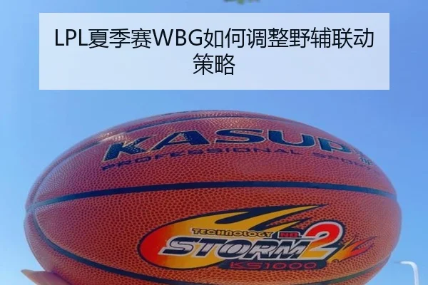 LPL夏季赛WBG如何调整野辅联动策略